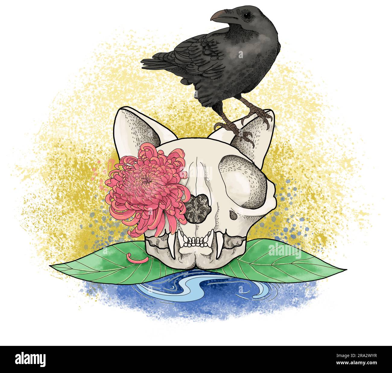 Black raven standing on a cats skull, chrysanthemum flower, hand drawn