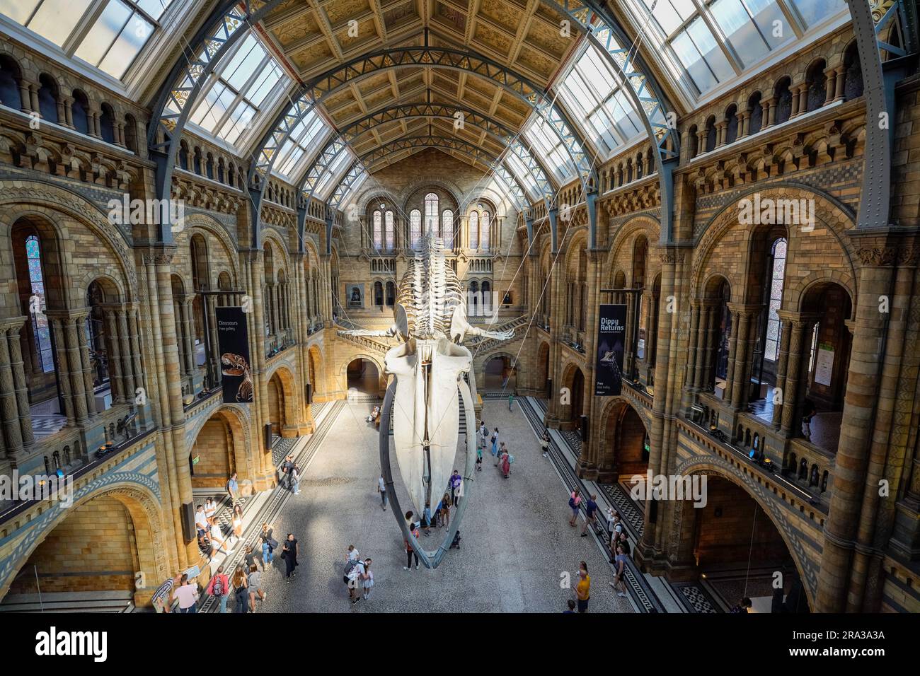 Natural History Museum in London, interior of museum. Hope, the blue