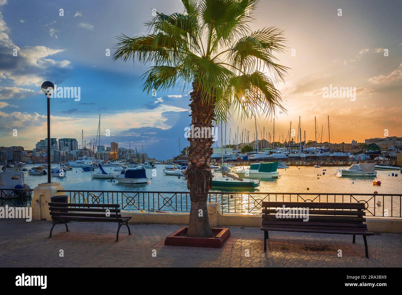 Sliema, Malta - Beautiful sunrise with two benches, a palm tree, residential houses and boats mooring at Sliema Bay on a summer morning with blue sky Stock Photo