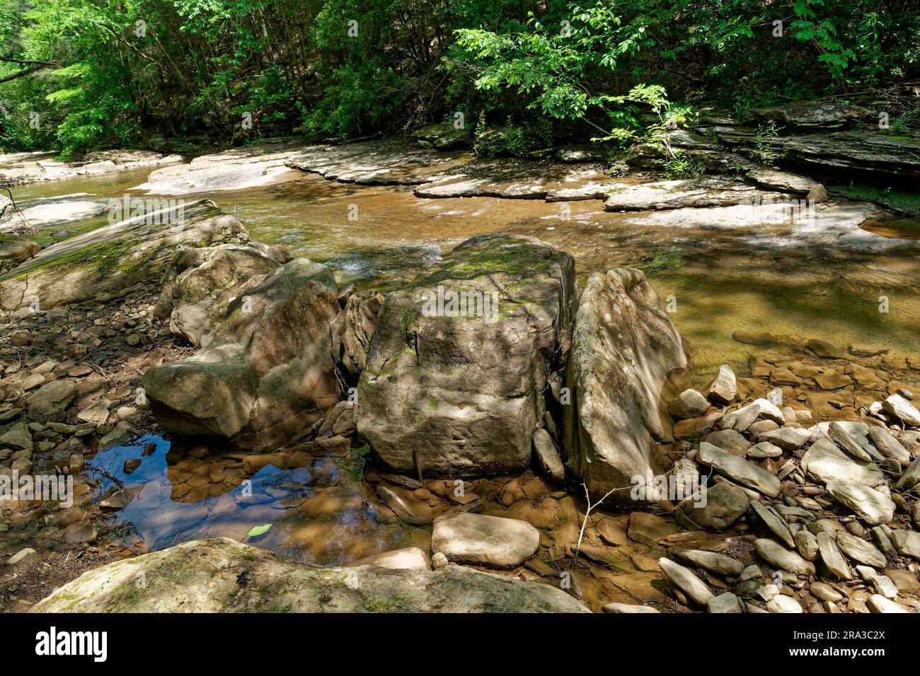 Big boulders in a row in the middle of the shallow creek surrounded by rocks and flowing water in the mountain forest on a sunny day Stock Photo