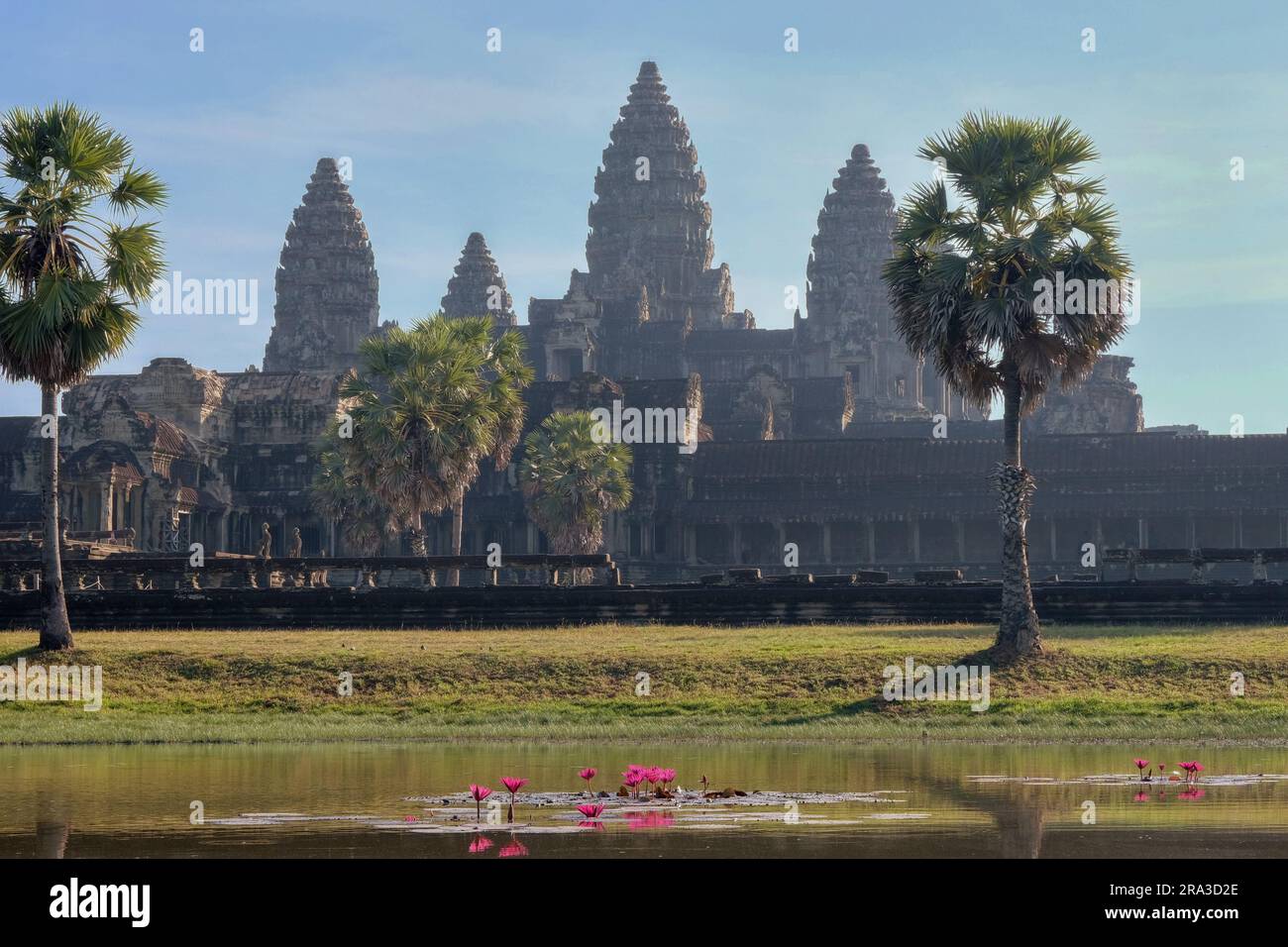 The scenic view of a lotus pond located close to the well-known Khmer ...