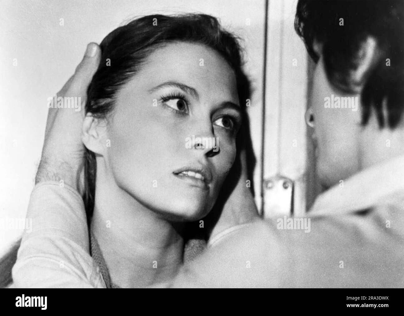 THE DEADLY TRAP 1971 National General Pictures  film with Faye Dunaway and Frank Langella Stock Photo