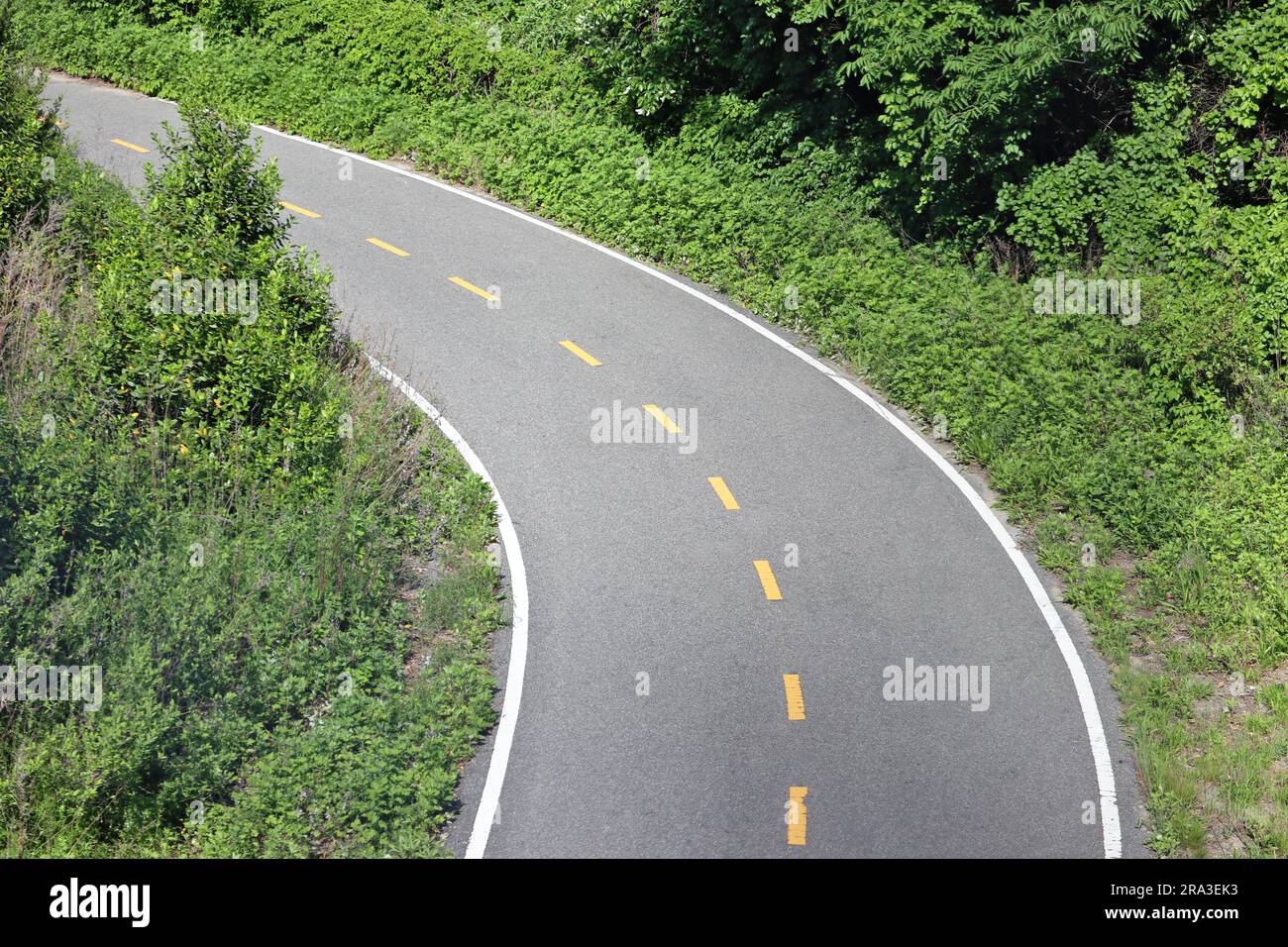 curved road with green trees and plants (smooth pavement bike lane with