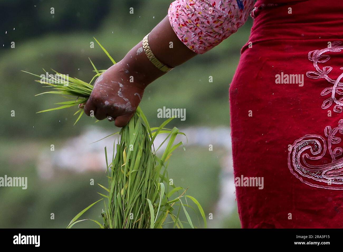 Kathmandu, Nepal. 30th June, 2023. On June 30, 2023, in Kathmandu ...