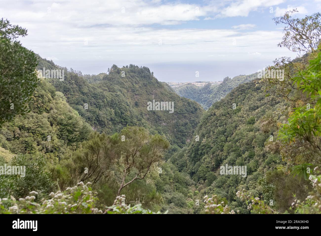 View of the natural landscape of the Levada do Caldeirão Verde, an iconic and tourist trail in the middle of the laurissilva forest, typical and uniqu Stock Photo
