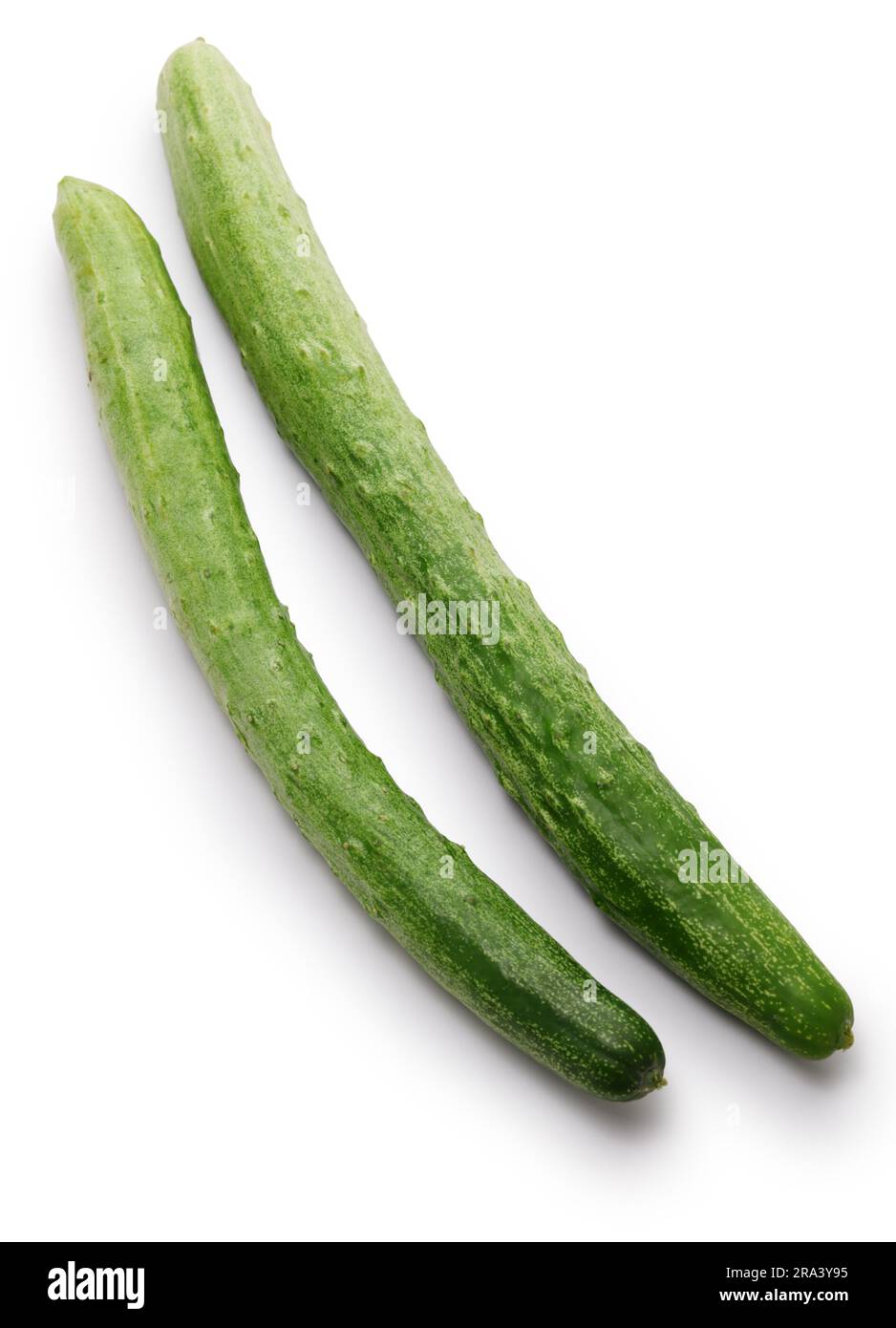 Japanese Cucumber (Asakaze), Kyoto traditional vegetable Stock Photo Alamy