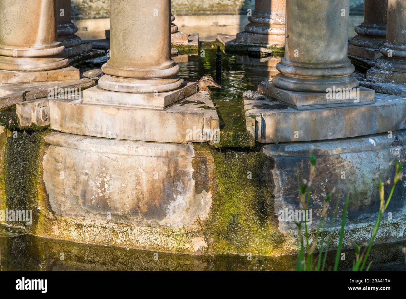 Historic stone water feature hi-res stock photography and images - Alamy