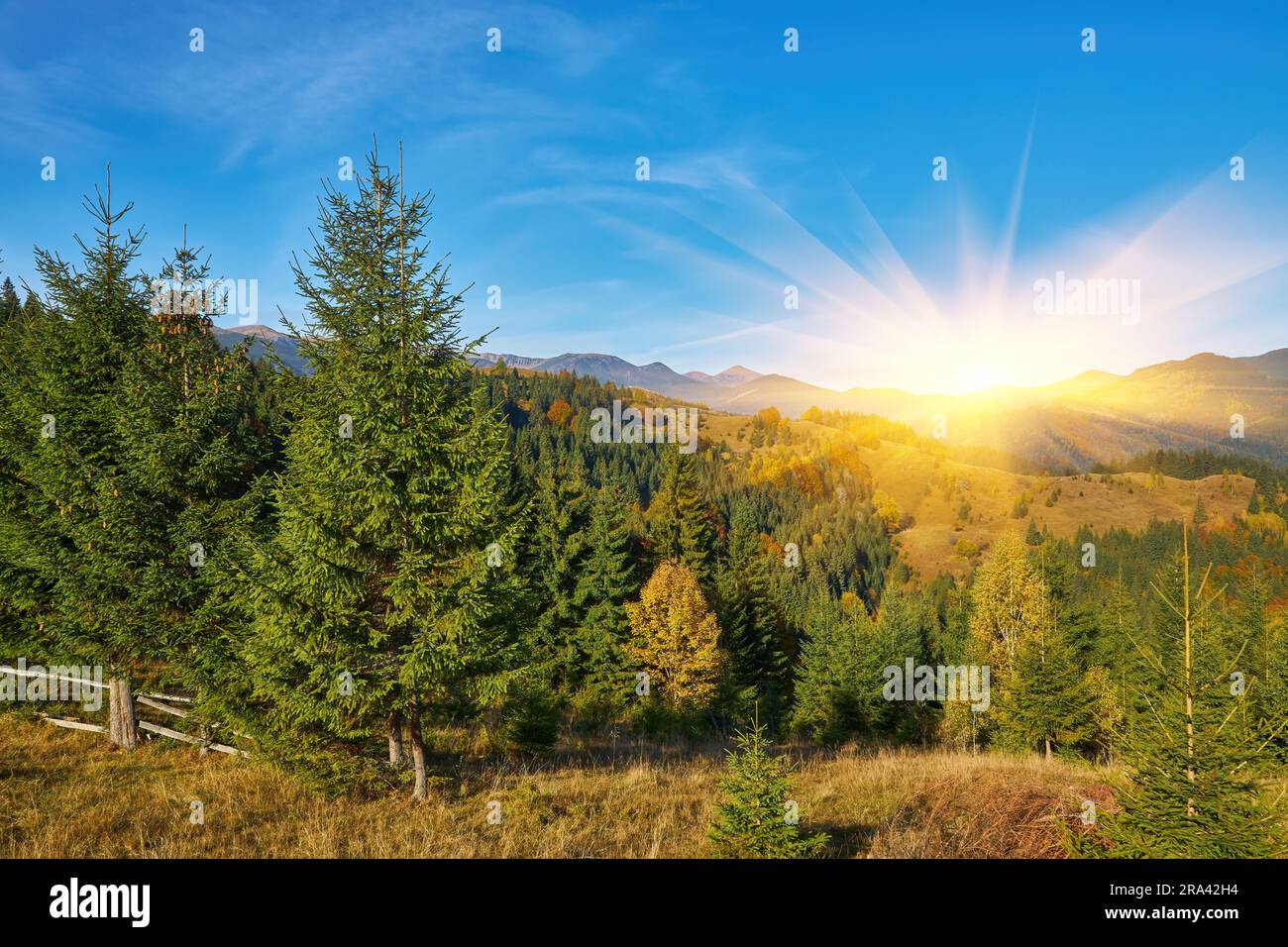 the mountain autumn landscape with colorful forest Stock Photo - Alamy