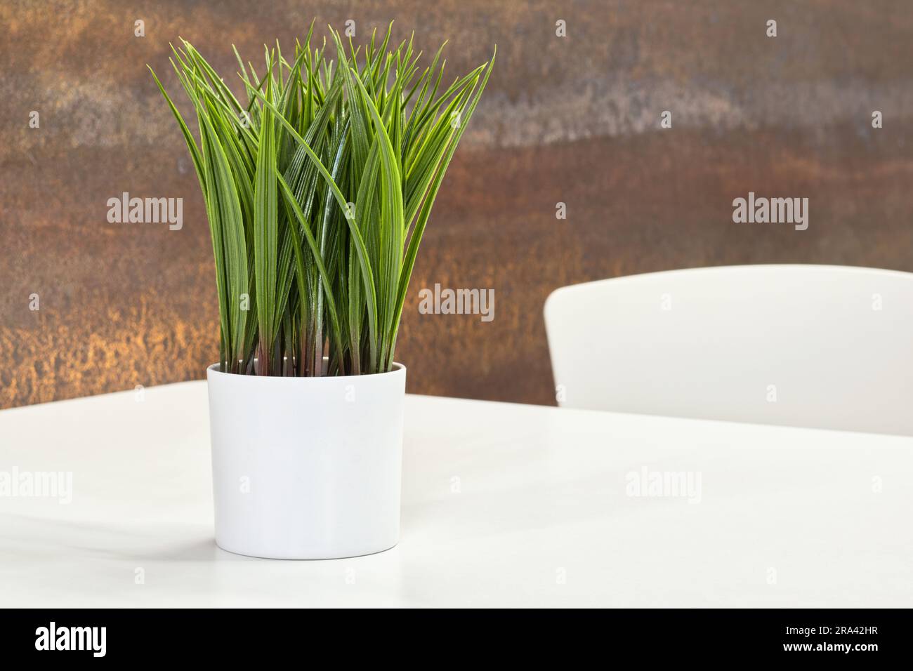 Contemporary interior design, artificial decorative potted plant, white partial table and chair with feature wall. Stock Photo