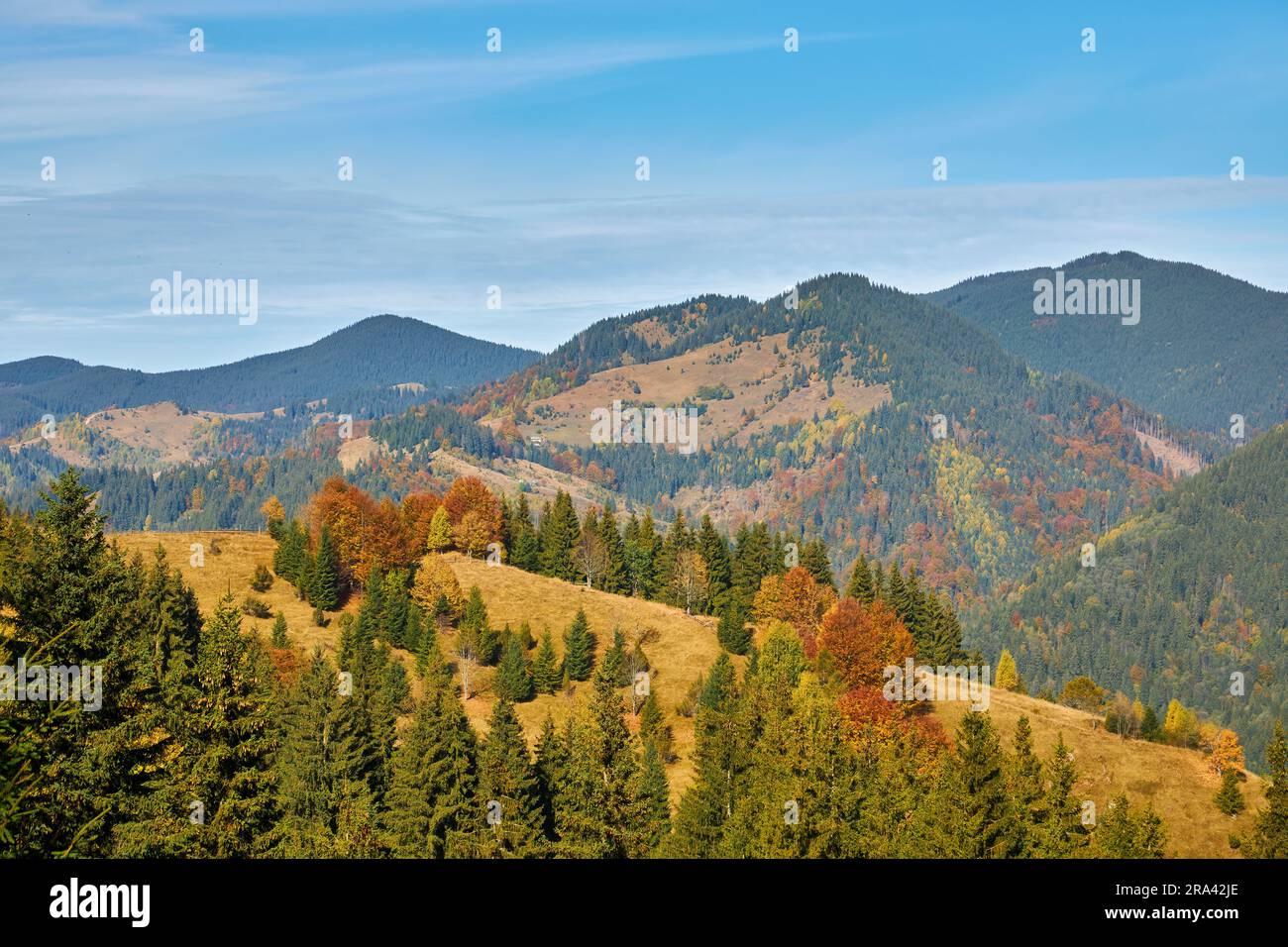 the mountain autumn landscape with colorful forest Stock Photo - Alamy