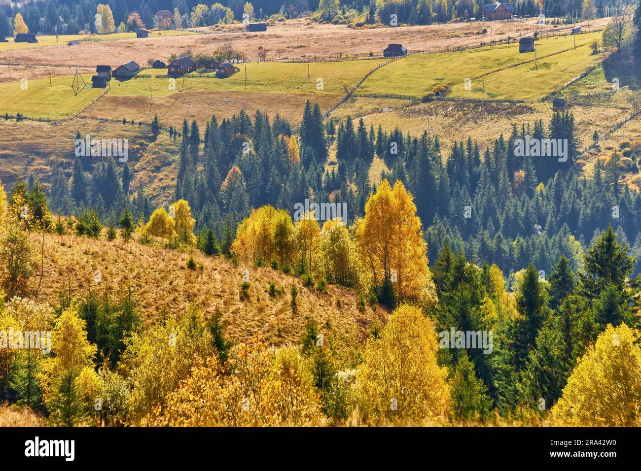 the mountain autumn landscape with colorful forest Stock Photo - Alamy