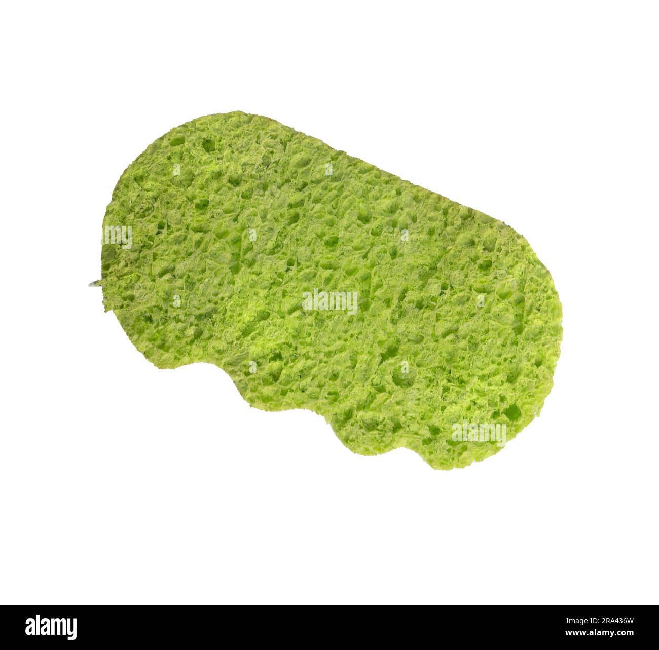 a green sponge isolated on a transparent background Stock Photo Alamy