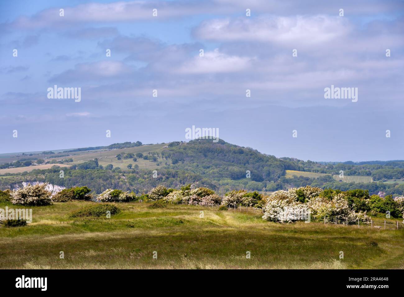View of Malling Down nature reserve, East Sussex, England Stock Photo