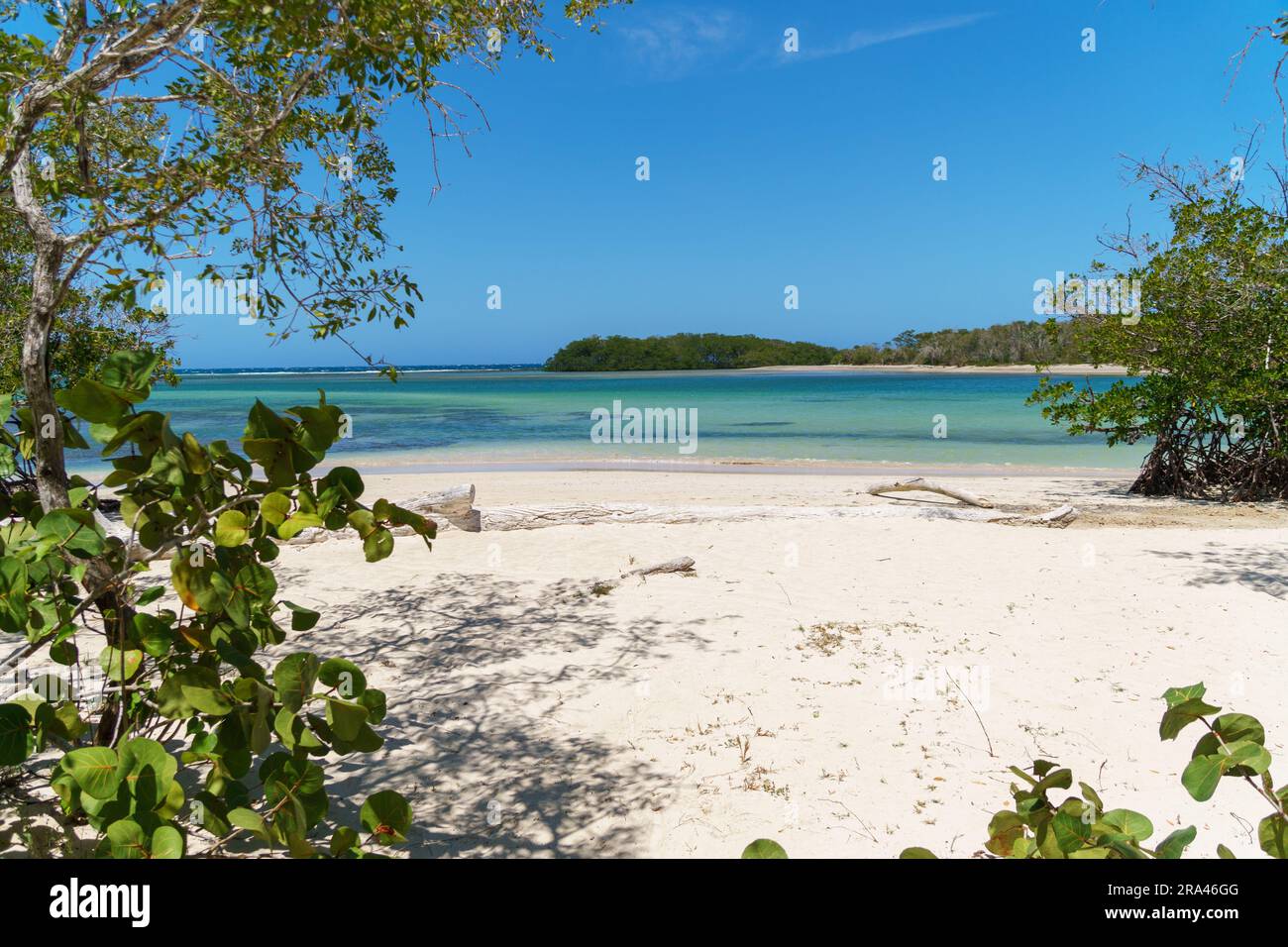 Empty strand of beach in estero hondo dominican republic, with fine sand and a distant island. Green foliage frames the picture. Stock Photo