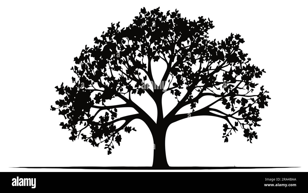 Black tree silhouette isolated on white background. Vector illsutration ...
