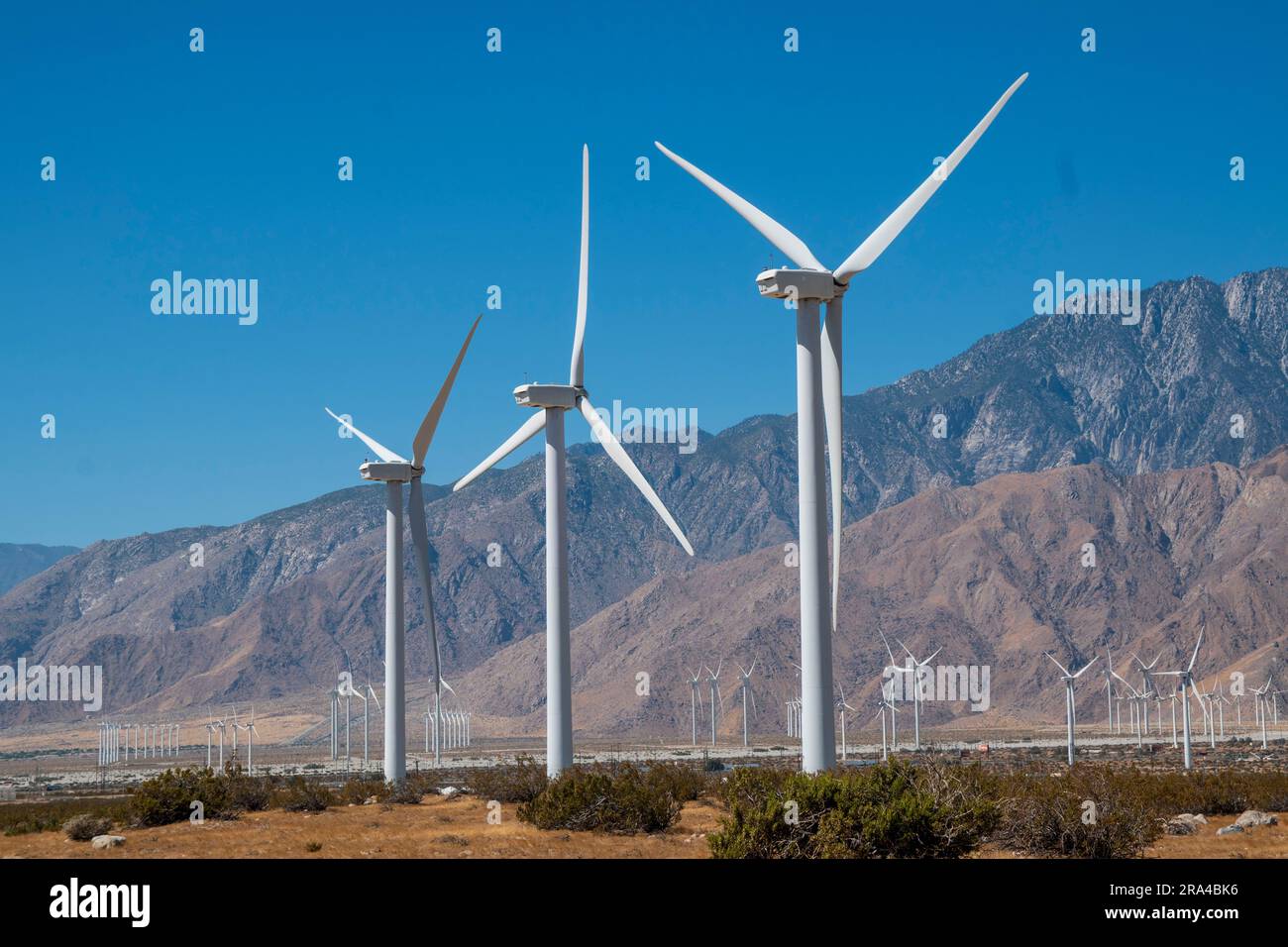 Strong gust winds hi-res stock photography and images - Alamy