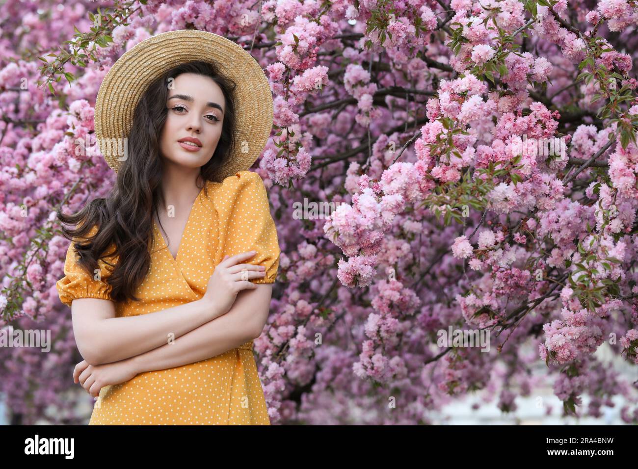 Beautiful woman near blossoming sakura tree on spring day Stock Photo ...