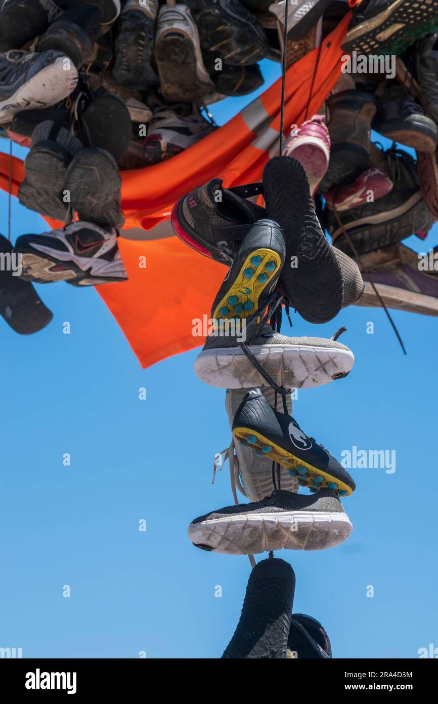 Tennis shoe shop tree