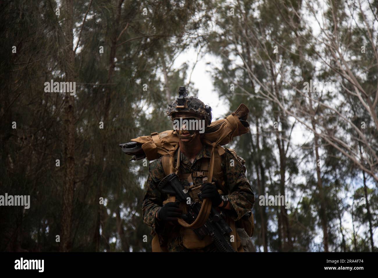 A U.S. Marine with Advanced Infantry Training Battalion, School of ...