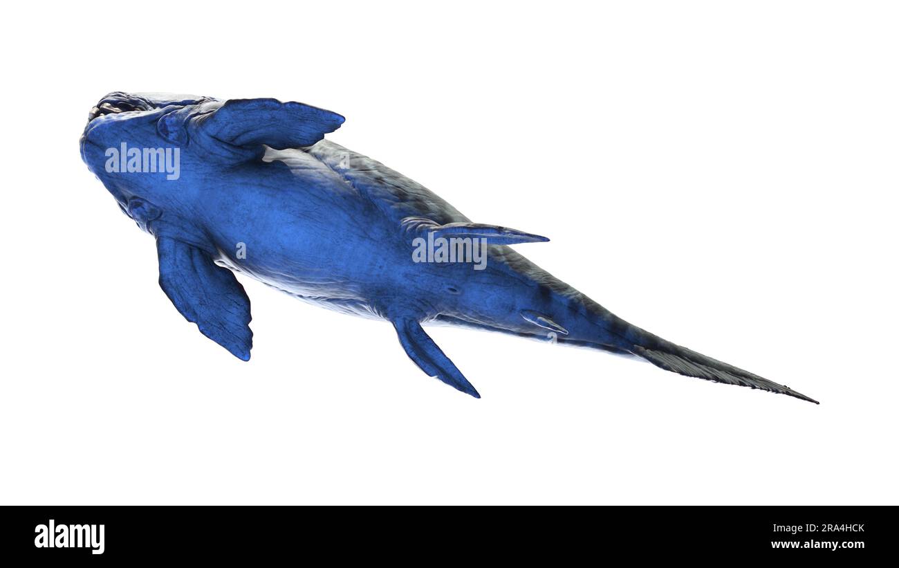 Dunkleosteus prehistoric fish, illustration Stock Photo