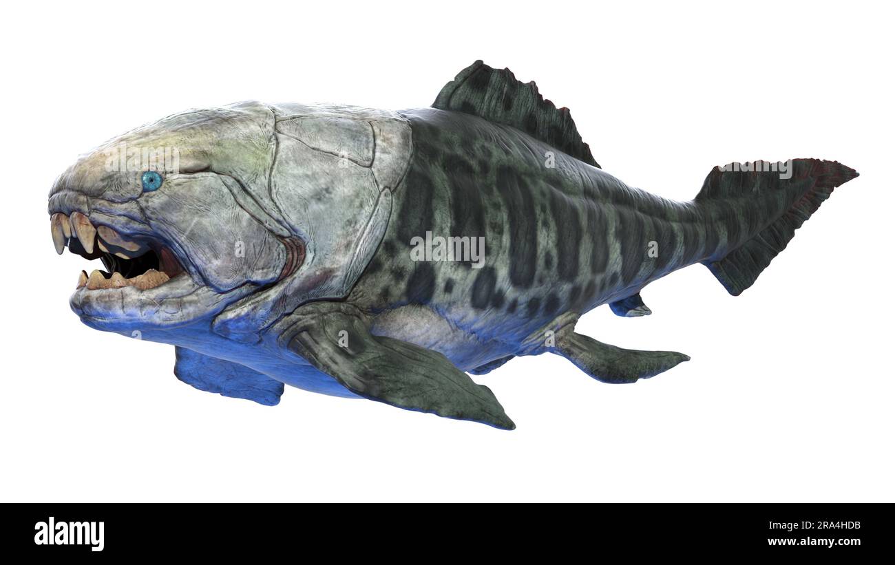 Dunkleosteus prehistoric fish, illustration Stock Photo