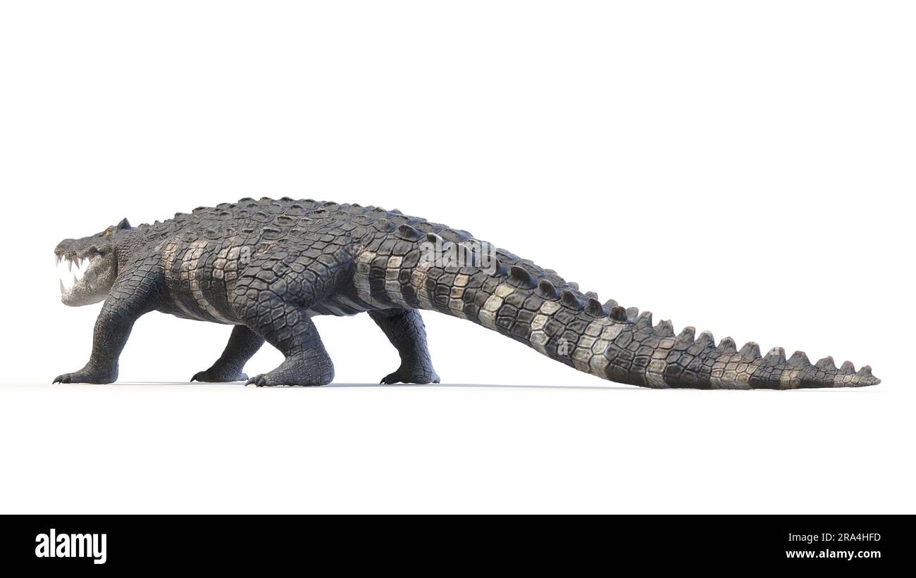 Deinosuchus prehistoric crocodilian, illustration - Stock Image - C049/0078  - Science Photo Library