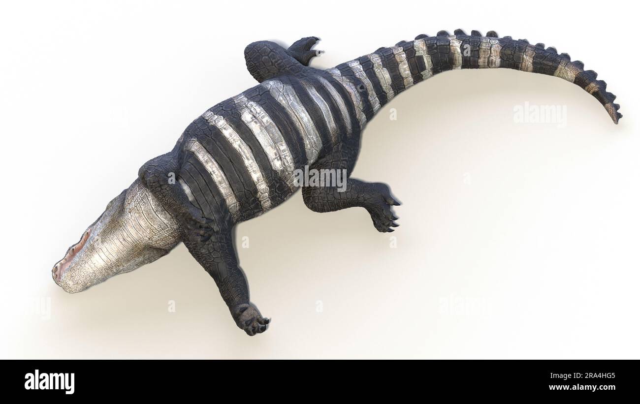 Deinosuchus prehistoric crocodilian, illustration - Stock Image - C049/0078  - Science Photo Library