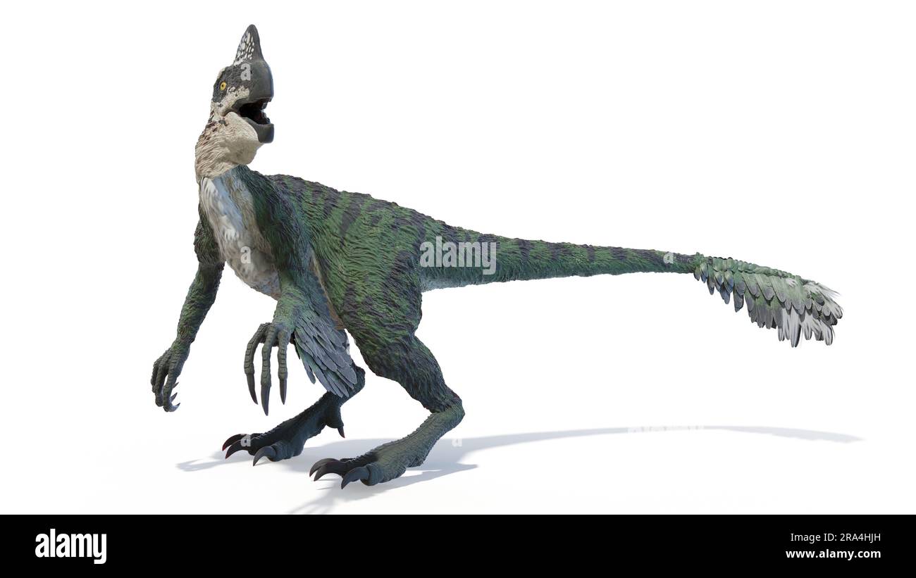 Oviraptor dinosaur, illustration Stock Photo - Alamy