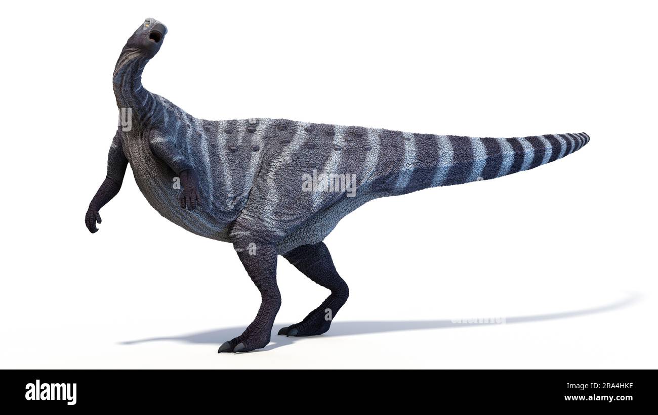 Thescelosaurus dinosaur, illustration Stock Photo - Alamy