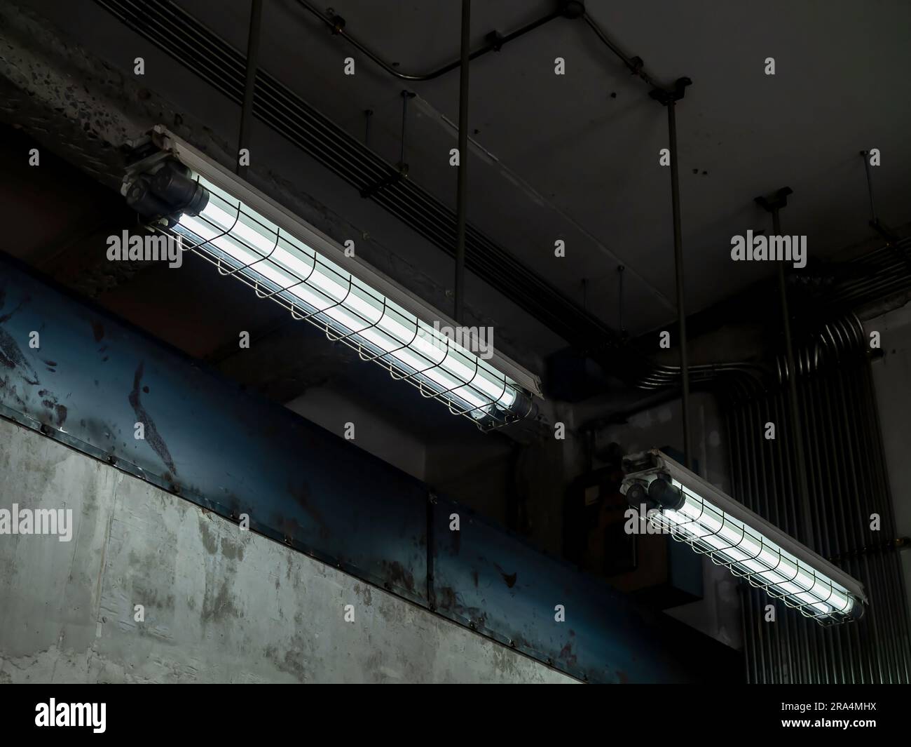 Loft industrial ceiling lights covered with wire mesh hanging under ceiling in old white building. Fluorescent light guards near electric pipeline dec Stock Photo