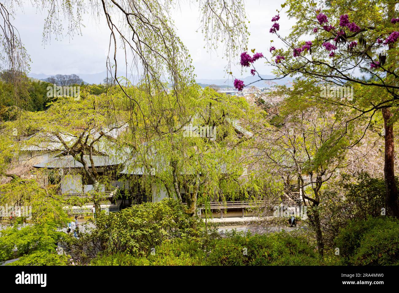 Tenryu ji temple grounds, Kyoto, Japan,2023 and its famous scenic zen