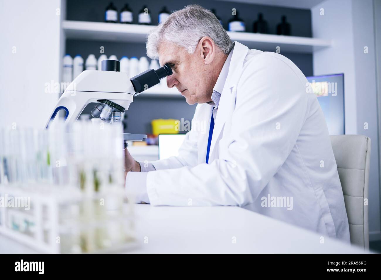 Science, laboratory and man on microscope for plants research, medical ...