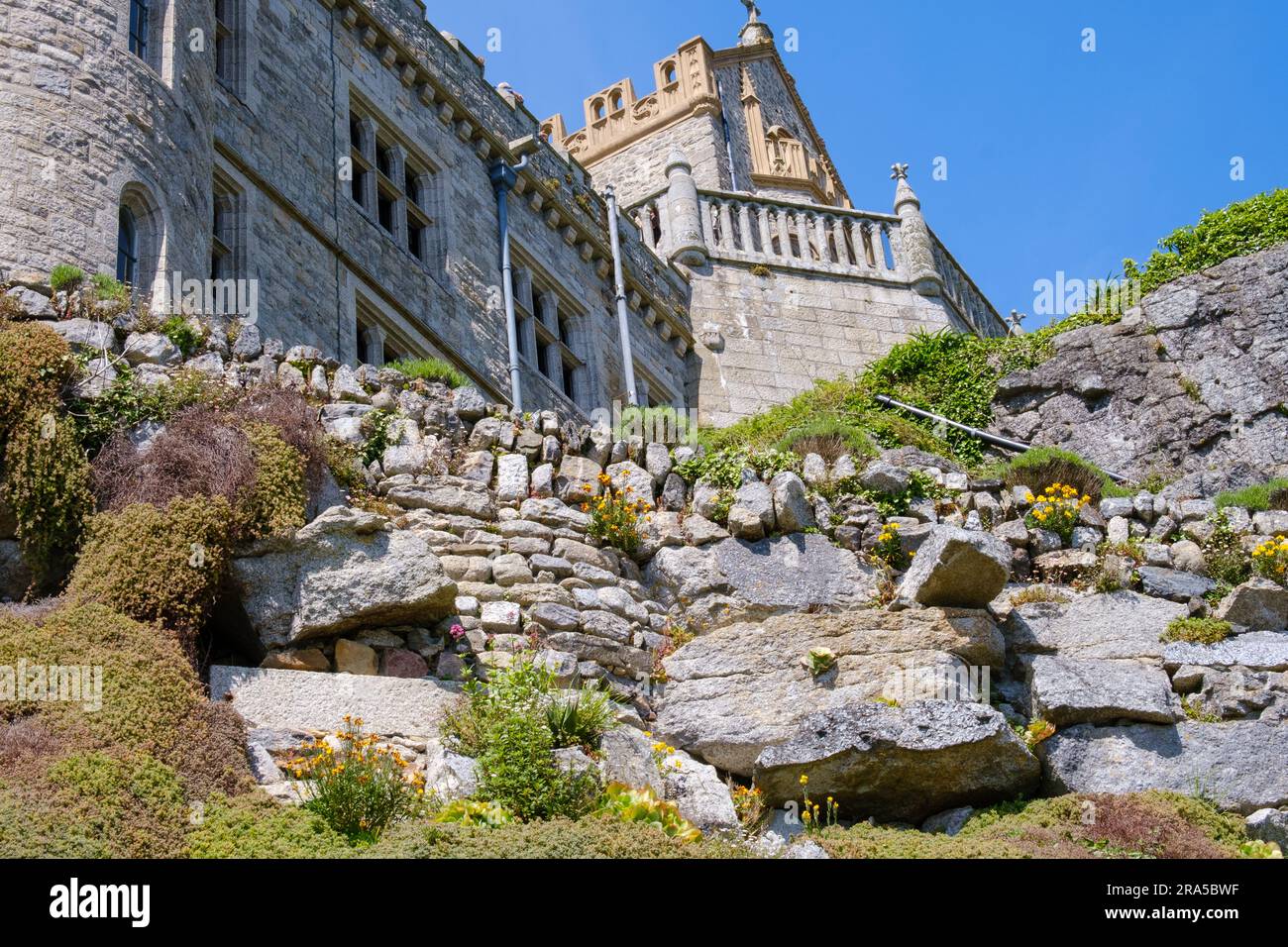 Flowers & plants growing amongst large rocks with castle on hill at St
