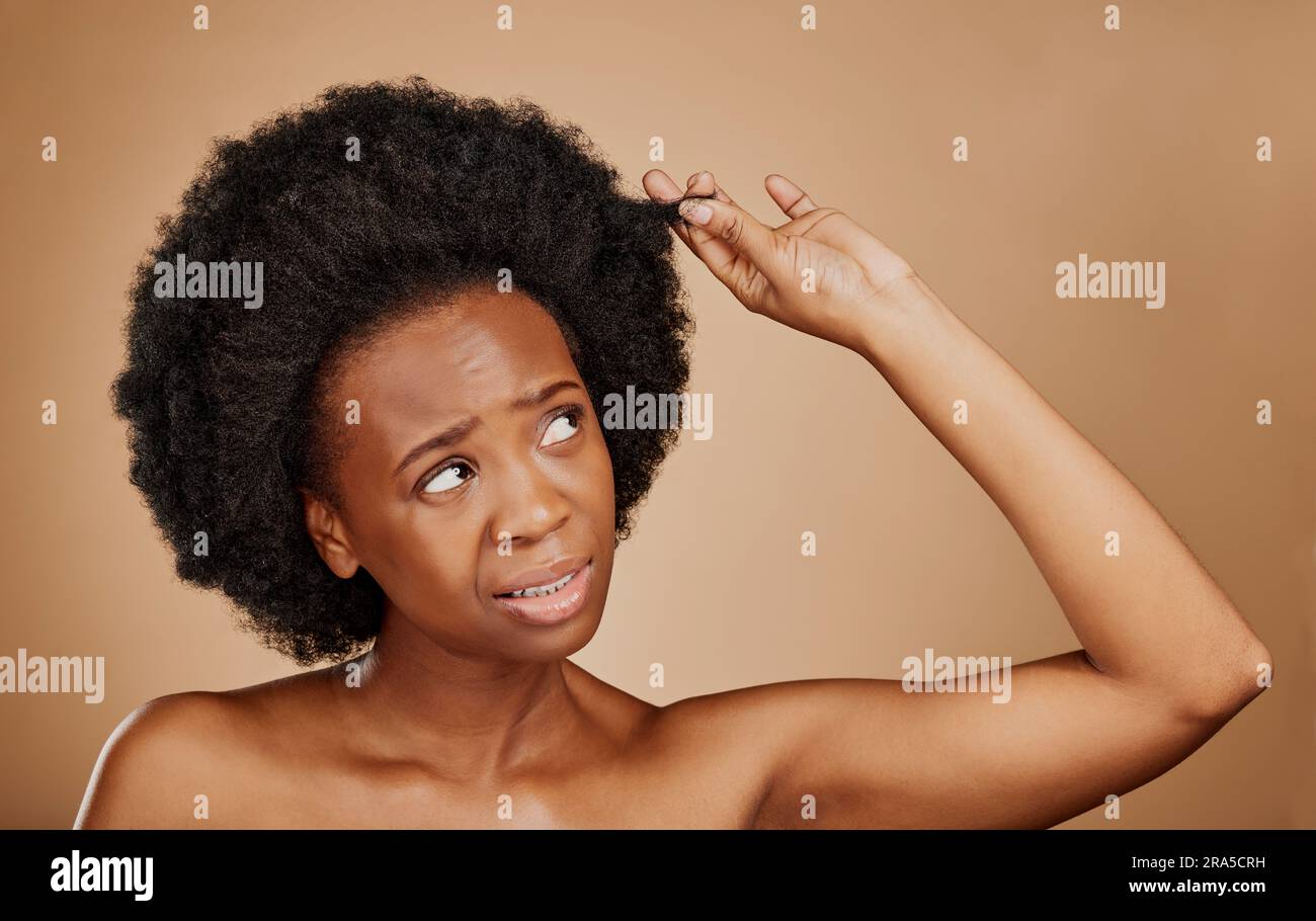 Worry, black woman and hair loss problem for afro in studio isolated on a brown background. Crisis, hairstyle and frustrated African model with split Stock Photo