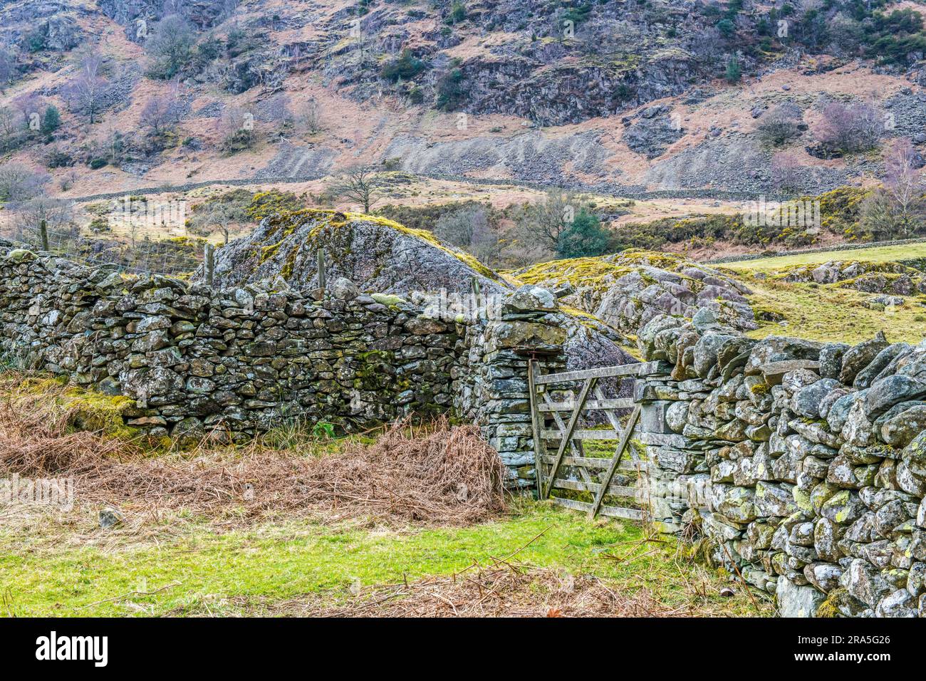 Gate and Drystone Walling en route to Hodge Close Quarry in the Lake District National Park Stock Photo