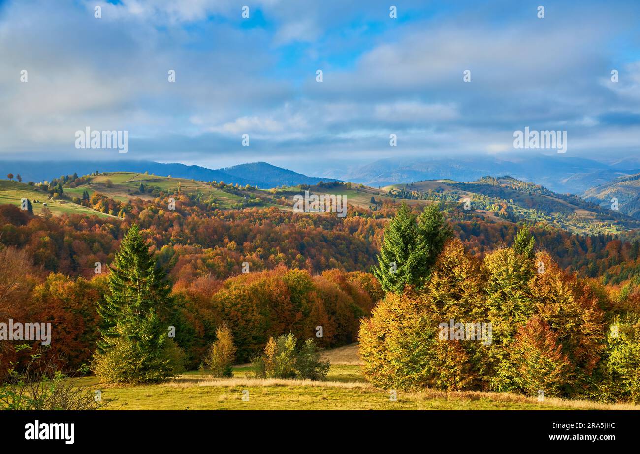 the mountain autumn landscape with colorful forest Stock Photo - Alamy