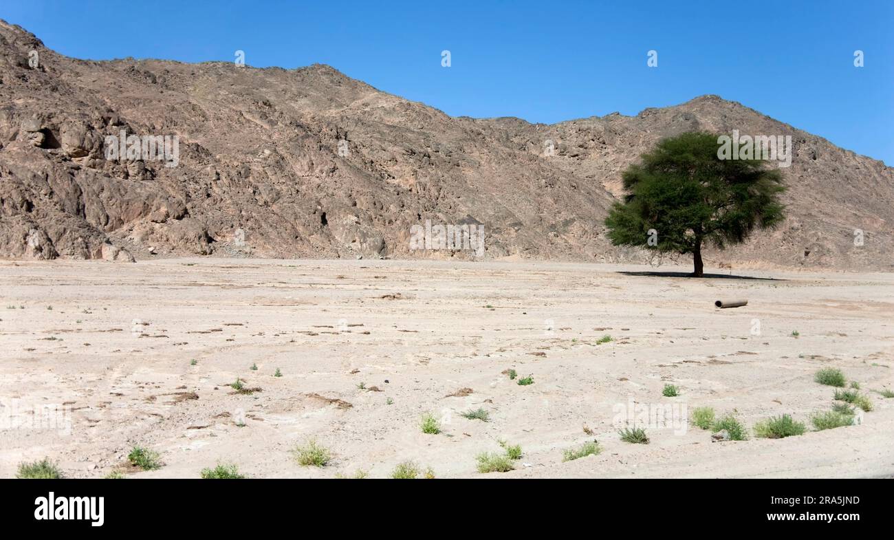 Sahara desert mountain range hi-res stock photography and images - Alamy