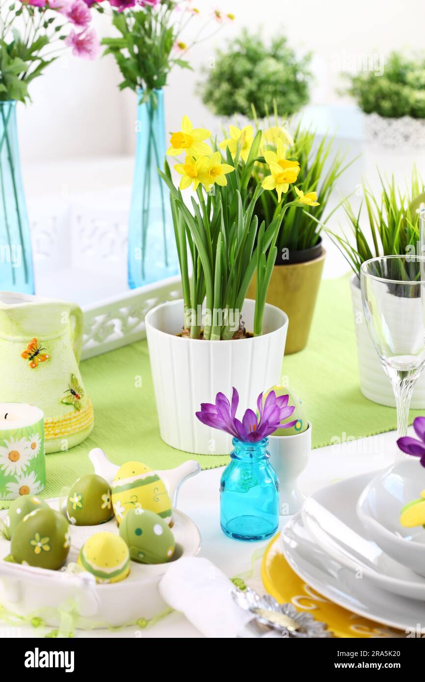 Place setting for Easter with daffodil and fresh green grass Stock Photo