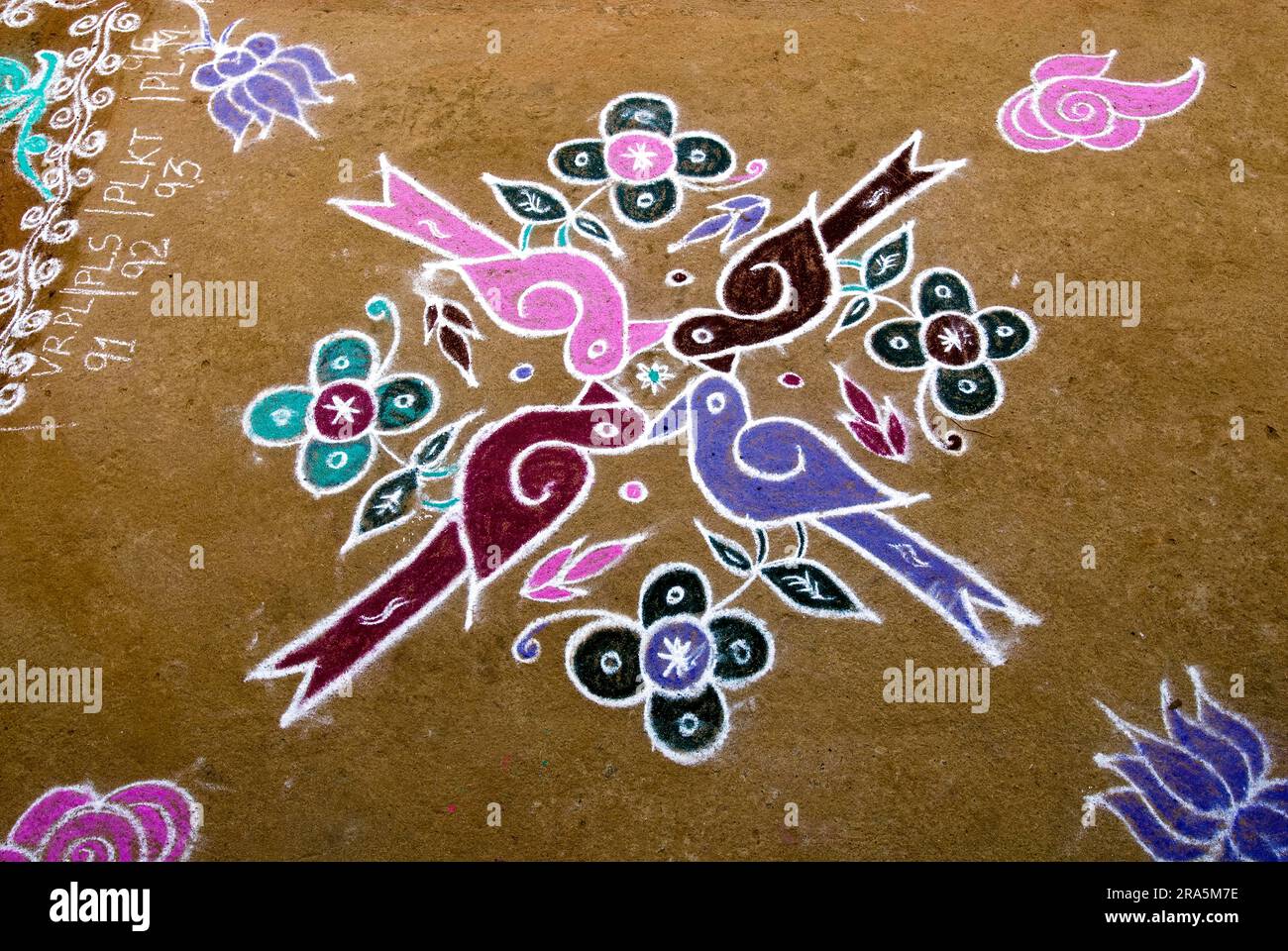 Kolam Rangoli during Pongal Festival in Tamil Nadu, South India, India