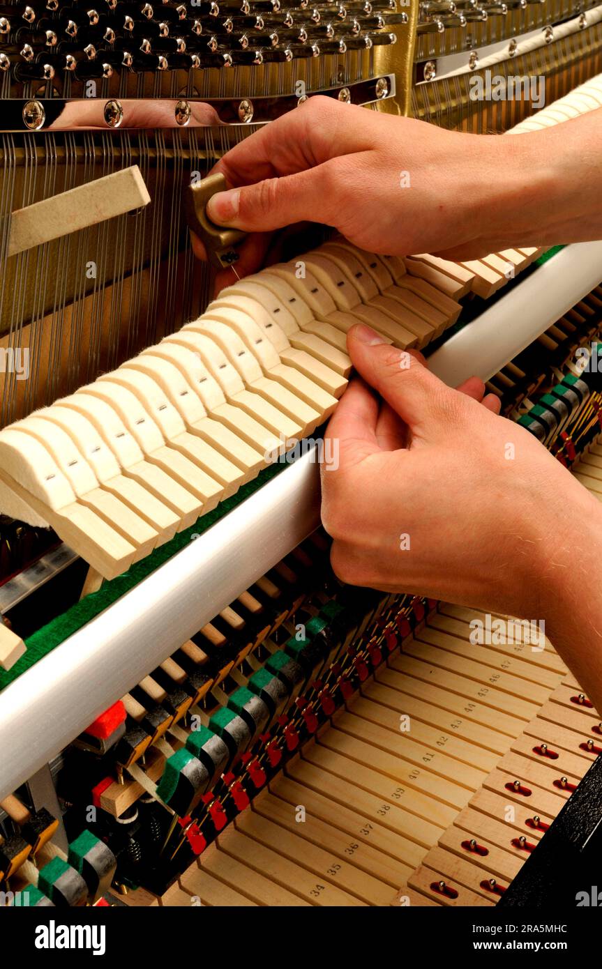 Piano is tuned, piano, music, make music, musical instrument, tune, key