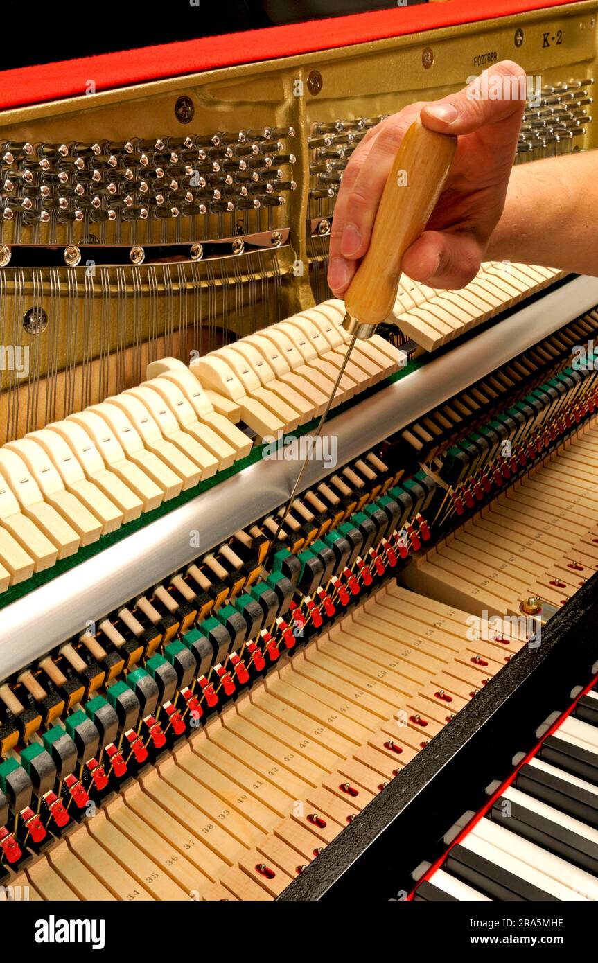 Piano is tuned, piano, music, make music, musical instrument, tune, key