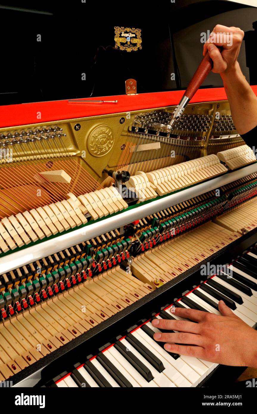 Piano is tuned, piano, music, make music, musical instrument, tune, key