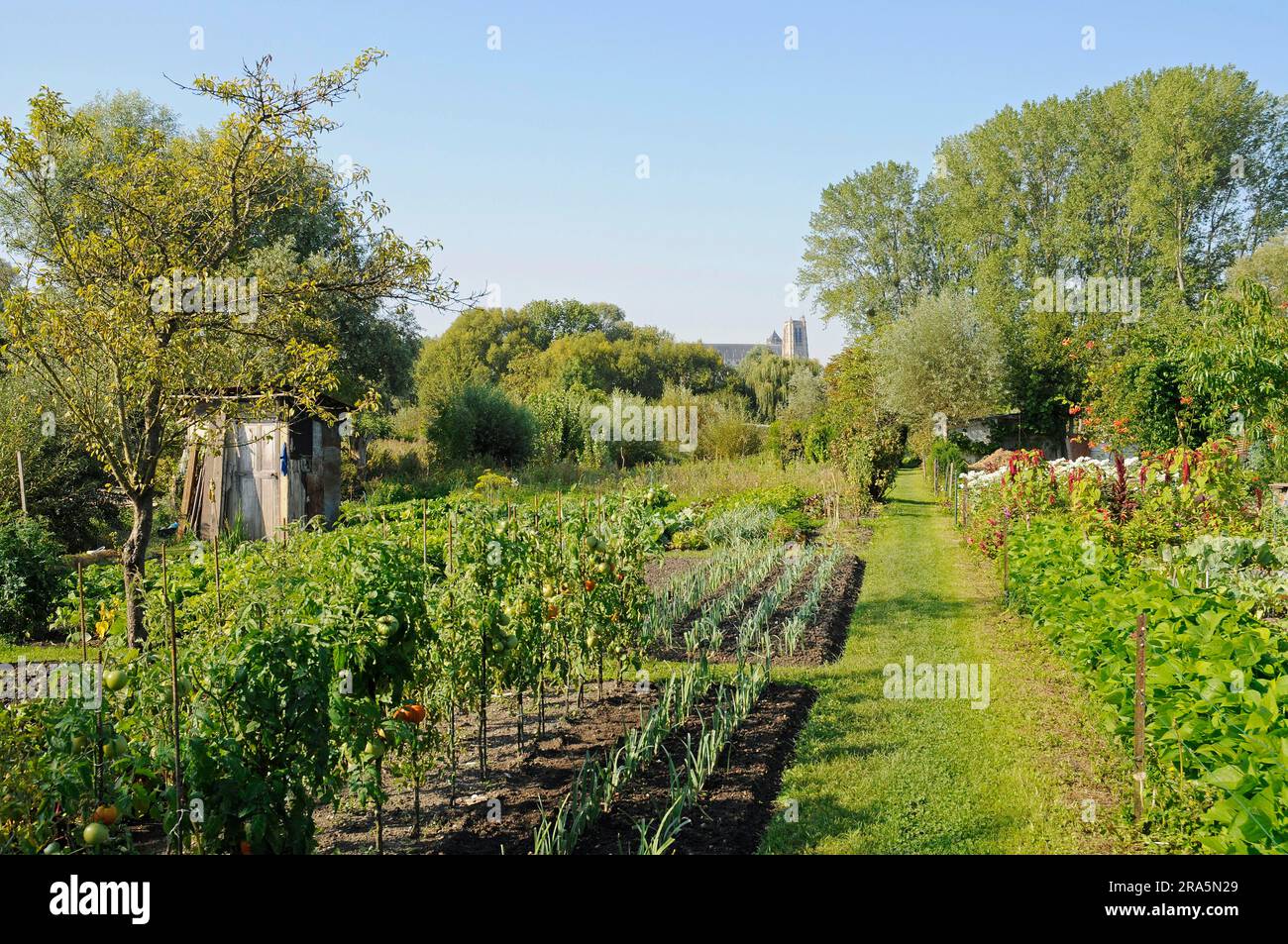 Marais de l'Yevre Garden District, Bourges, Cher, Centre, France Stock ...