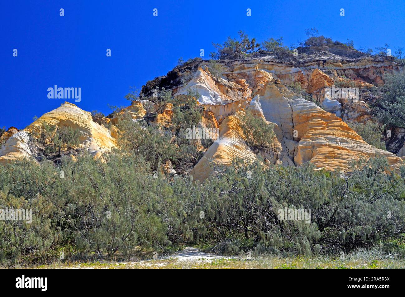 Fraser island landscape photography hi-res stock photography and images ...
