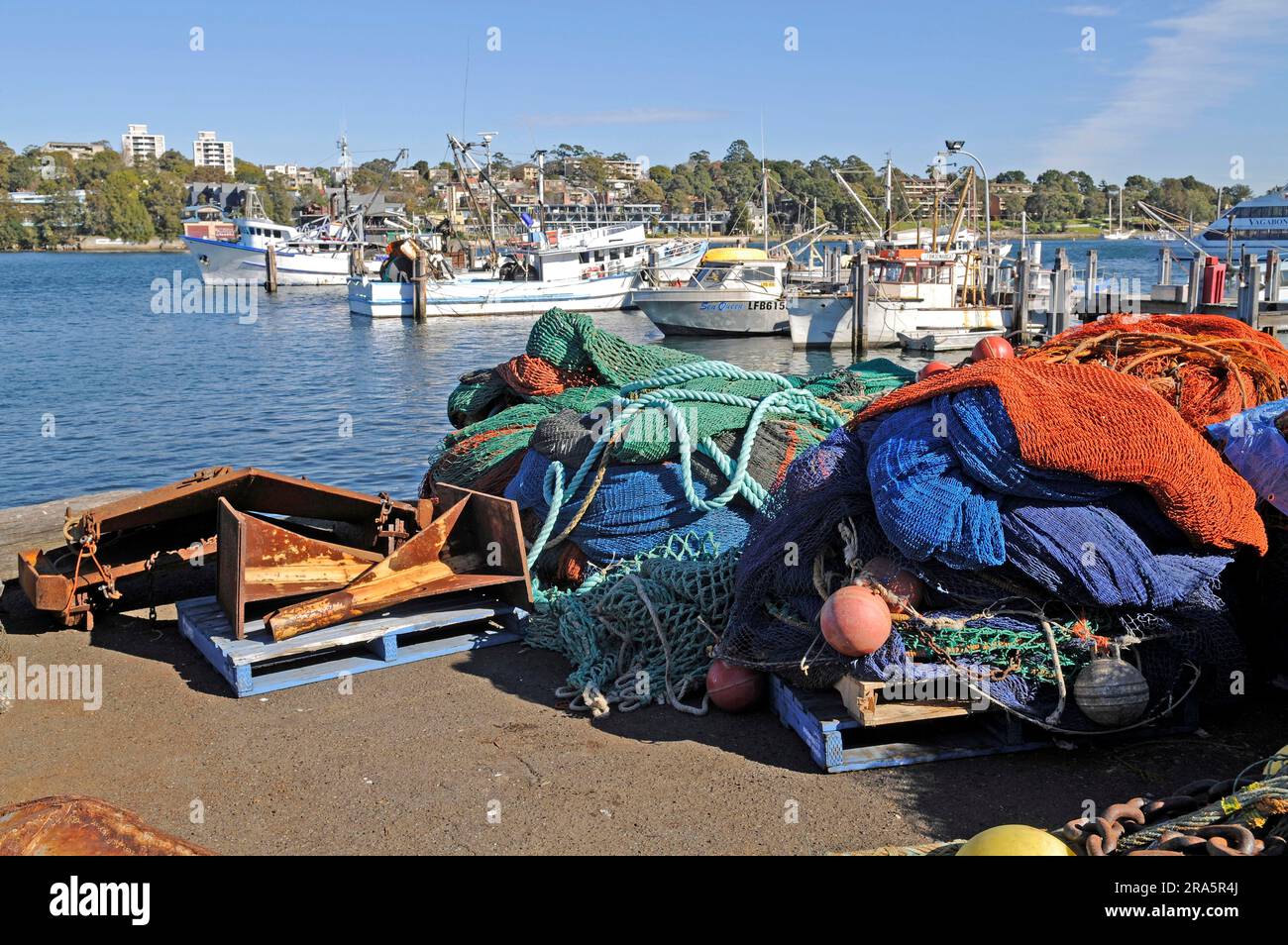 Fishing harbour, at the fish market, Sydney, New South Wales, Australia