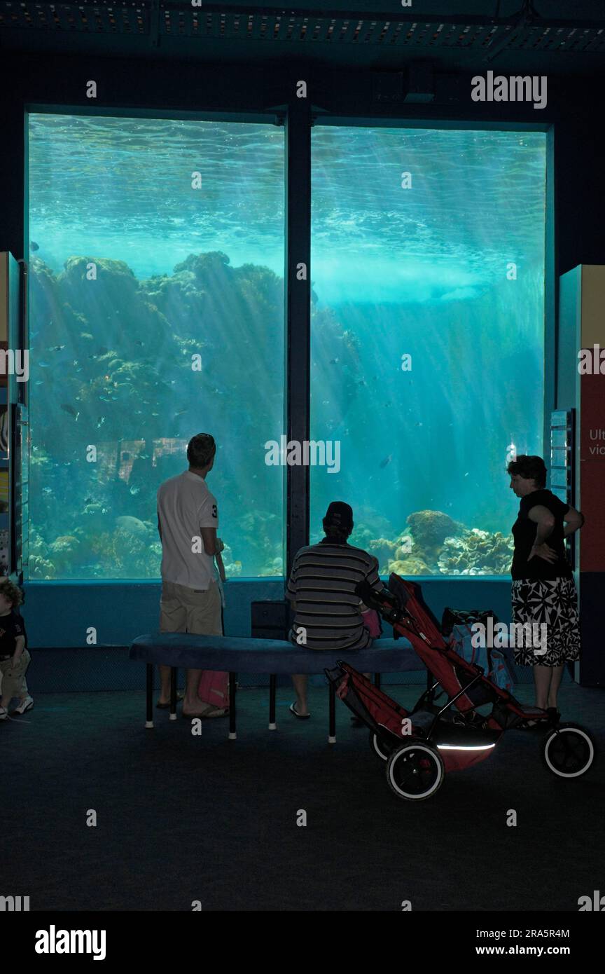 Tourists in coral reef aquarium, HQ Reefworld, Townsville, Australia