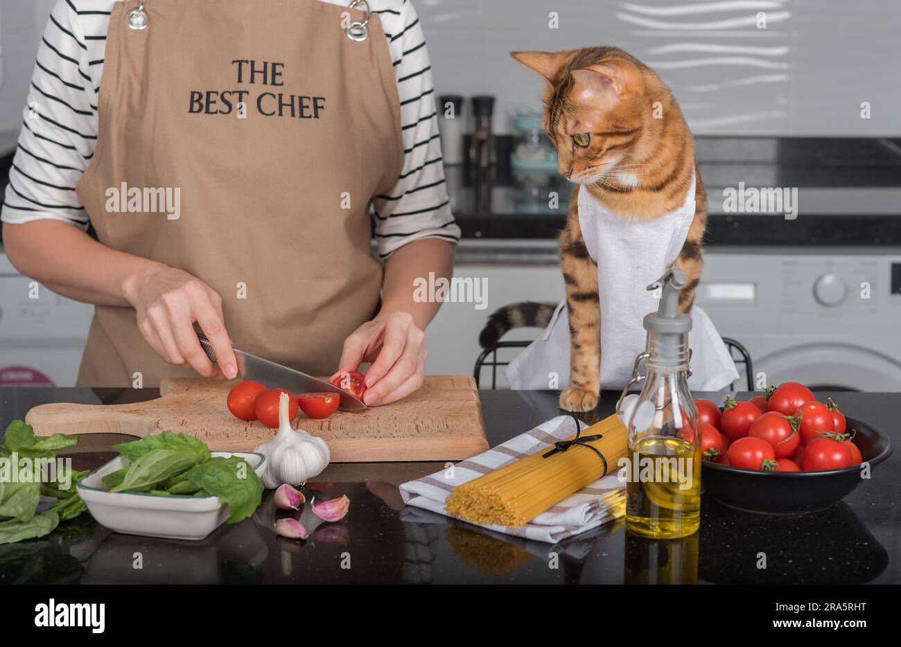 The cat and its owner in aprons cook food together in the home kitchen. The cat watches as the woman cuts the tomatoes. Stock Photo