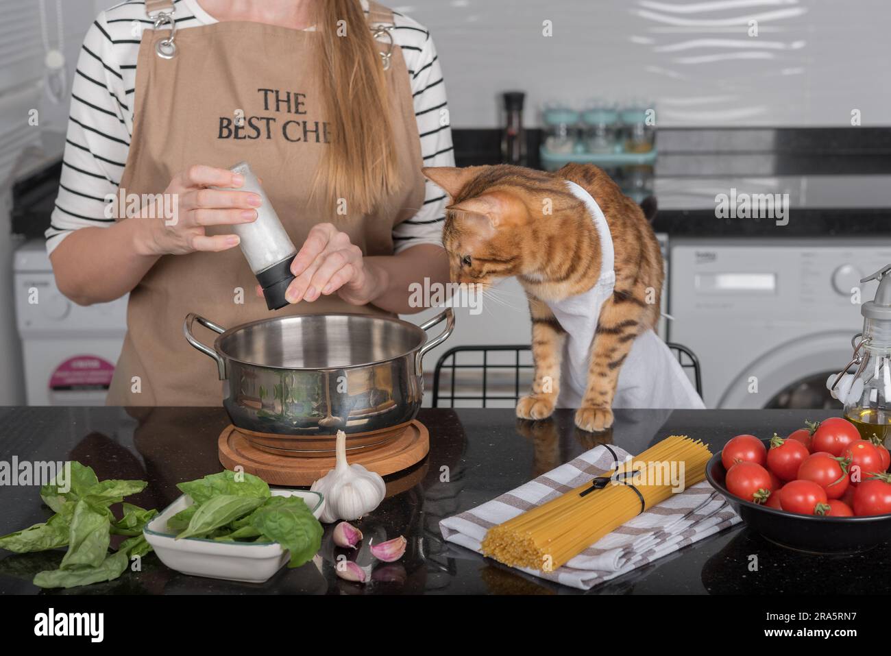 The cat and its owner in aprons cook food together in the home kitchen. Domestic cat watches how the girl salts the food. Stock Photo