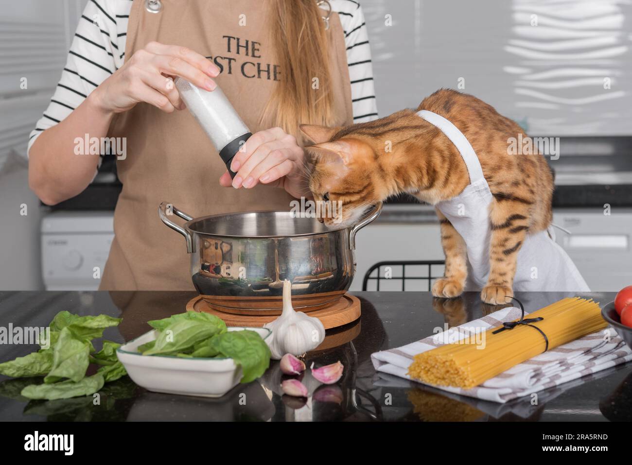 The cat and its owner in aprons cook food together in the home kitchen. Domestic cat watches how the girl salts the food. Stock Photo