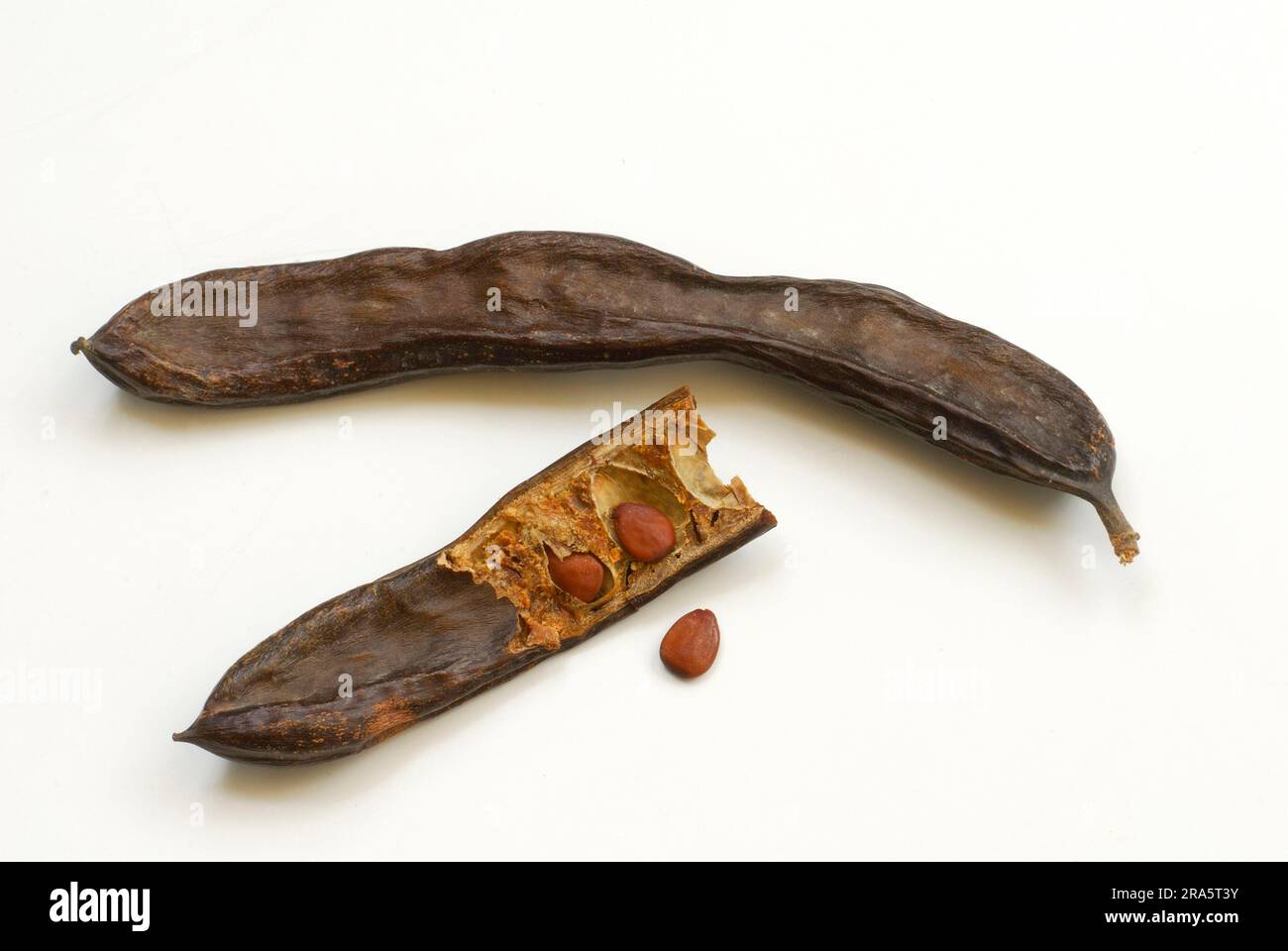 Fruit of carob hires stock photography and images Alamy